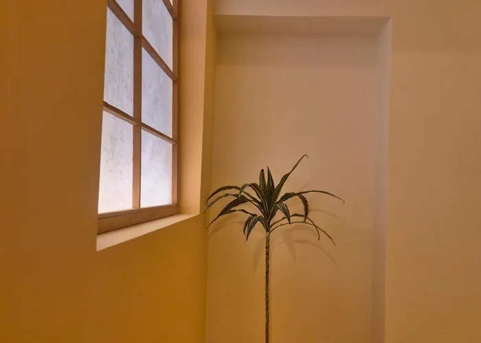 Sosi 서울특별시